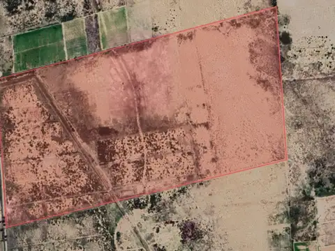 CAMPO DE 120 HECTÁREAS EN VENTA - LAVALLE