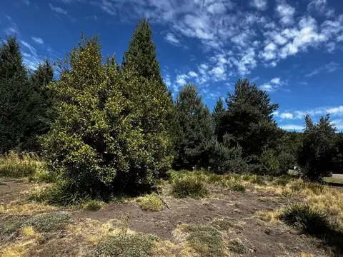 Ruta Provincial 62 100