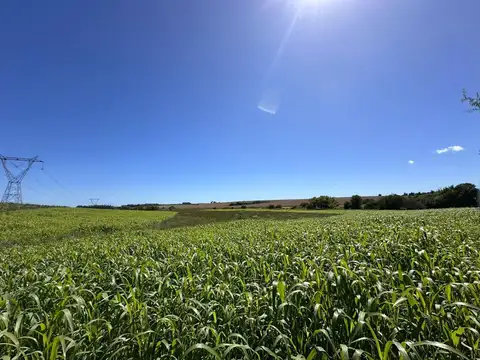 8 s y 267, Ruta 90