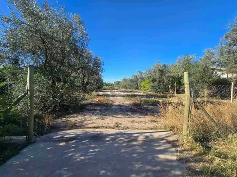 LOTE / TERRENO - COQUIMBITO - BODEGAS - TURISMO