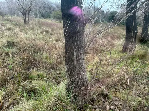 Terreno en Venta en Córdoba, USD 75.000