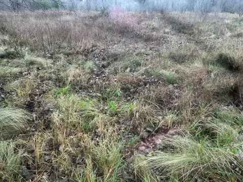 VENDO LOTE SAN ROQUE 900MTS