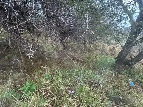 Terreno en Venta de 900,0 m2