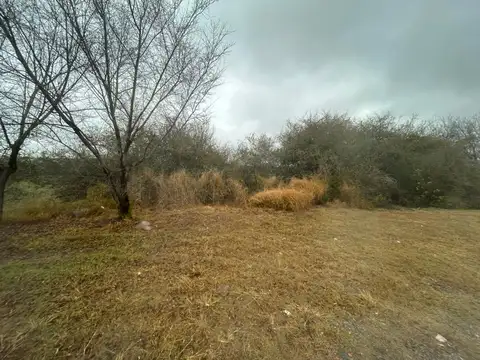 Los Fresnos 300