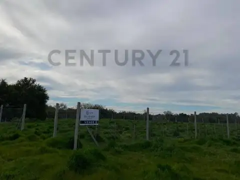 Montevideo y 94 , Piso 0