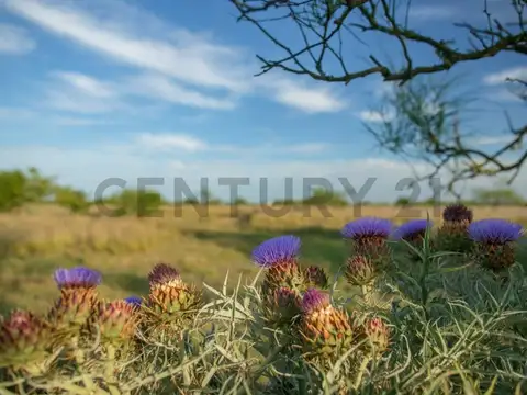 Montevideo y 94 , Piso 0