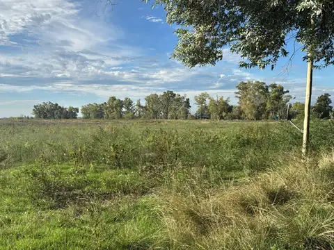 Chacra de 10 hectáreas en venta en General Rodriguez