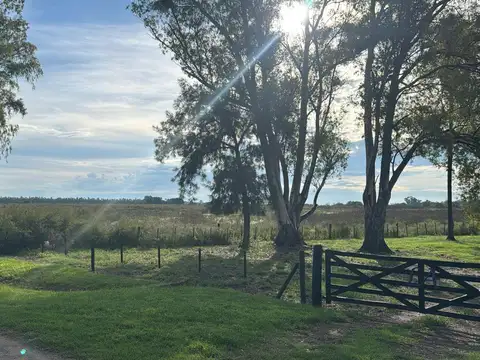 Campo de 10 hectáreas en venta en General Rodriguez