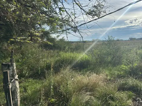 Terreno en Venta de 100000,0 m2