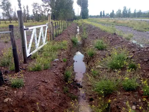 Campo en venta - 13 Hectáreas - Mendoza