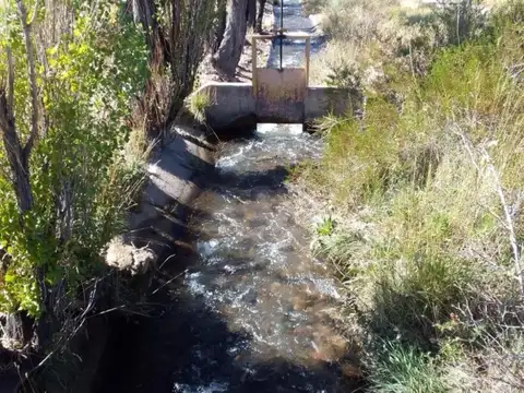 Campo en venta - 13 Hectáreas - Mendoza