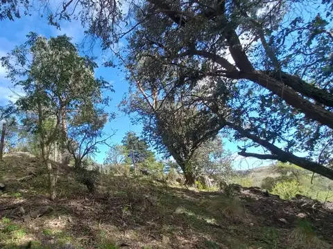 Terreno en Venta de 1319,0 m2