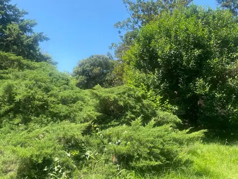 Quinta en Venta de 4 dormitorios