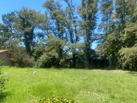 Teresa De Jesús 103