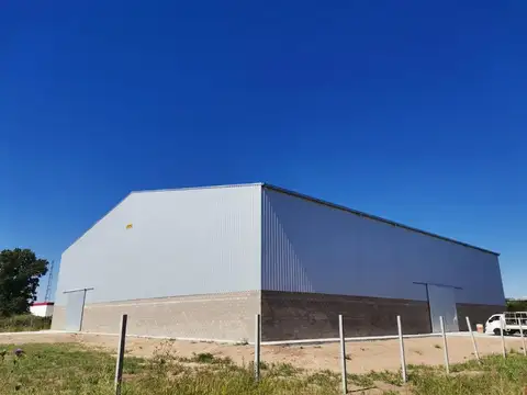 Galpon en Alquiler A Estrenar