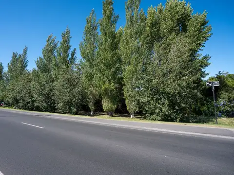 CAMINO CENTENARIO 4100