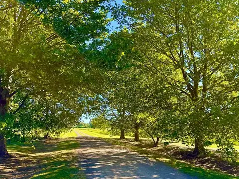 Terreno en  Polo Club Santa Maria, Lobos