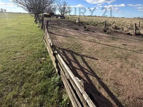 CAMPO DE 25 HECTÁREAS – 11 HA AGRÍCOLAS + SECTOR GANADERO. ELORTONDO
