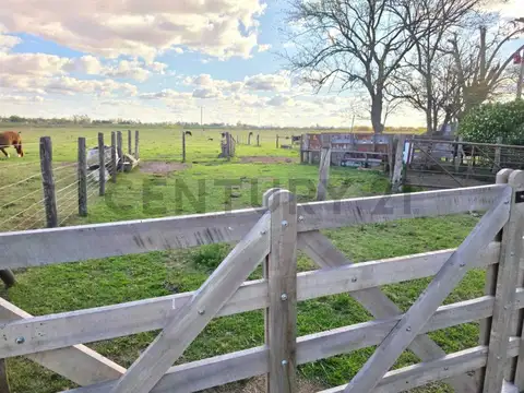 CAMPO DE 25 HECTÁREAS – 11 HA AGRÍCOLAS + SECTOR GANADERO. ELORTONDO