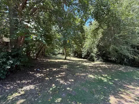 El Bosque