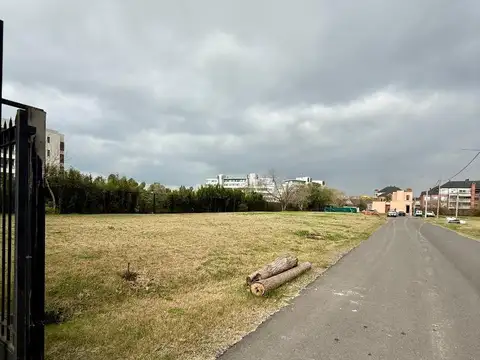 Terreno en Venta 25  mts Fondo
