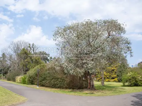 Terreno en Venta de 800,0 m2