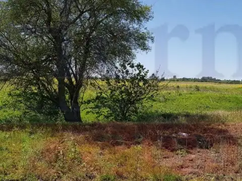 MUY BUEN CAMPO AGRÍCOLA DE 94 HAS, EN EL KM 51 DE RUTA 3