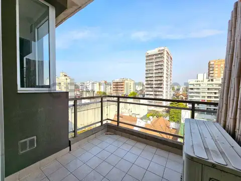 Gavilán 300