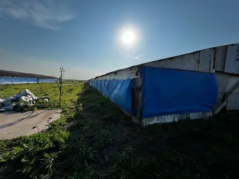 Colonia Santa Teresita