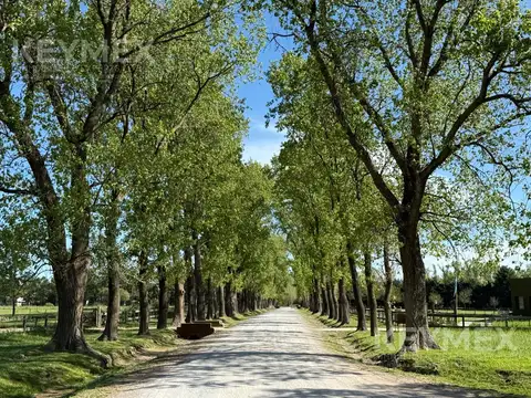 Terreno en venta en Haras el Malacate, Amenities Ecuestres. Exaltación de la Cruz