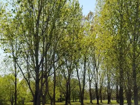 Terreno en Venta de 1300,0 m2