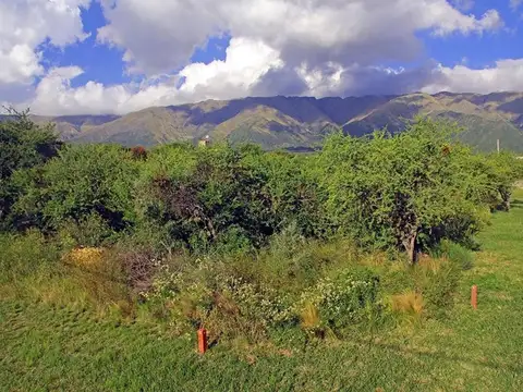 Av. Fermin Romero S/n