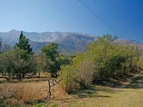 Terreno en Venta de 800,0 m2