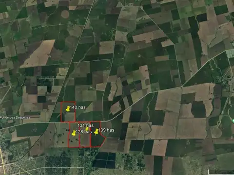 Campo en venta - 537 Hectáreas - General Alvarado