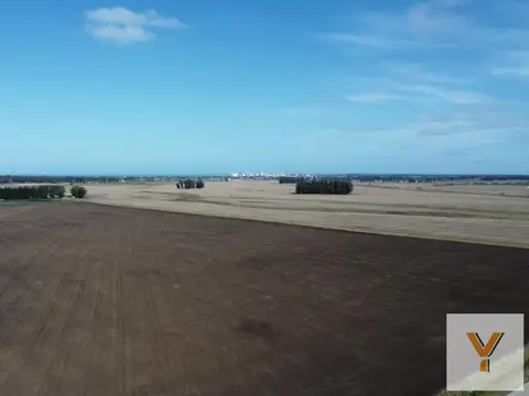 Camino viejo Miramar