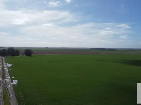 Camino viejo Miramar