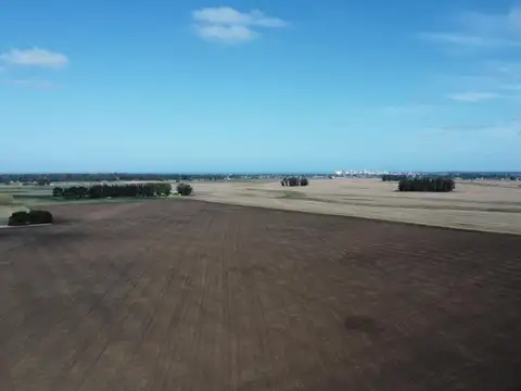 Camino viejo Miramar