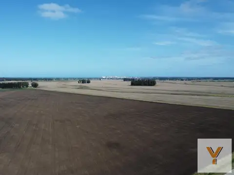 Campo en Venta en Parque Industrial Miramar, Miramar