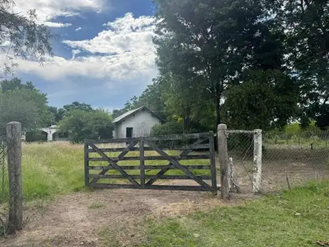 Campo-chacra 42 hec Ganadero Agricola  Sauce. 