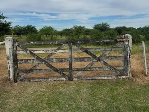 Campo-chacra 42 hec Ganadero Agricola  Sauce.