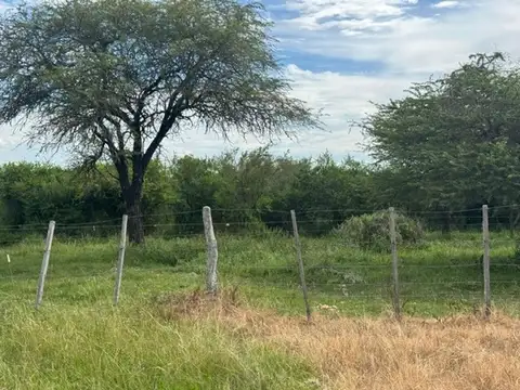 Ruta Prov, 56 -sauce