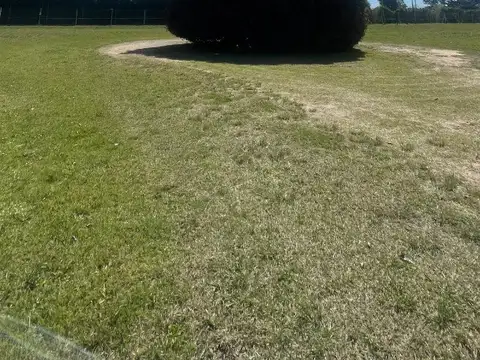 LOTE CHACRAS DE LA CRUZ