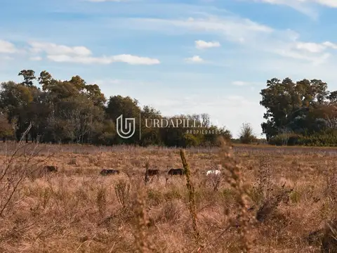 Terreno en Venta de 10974,0 m2