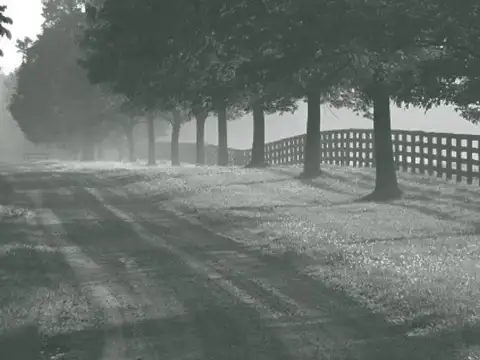 Terreno en Venta de 10974,0 m2