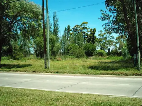 Terreno en Venta 