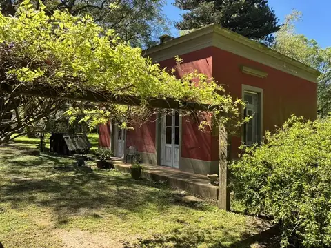 Estancia de Campo "Las Yucas" - Monasterio - Lezama - Provincia de Buenos Aires