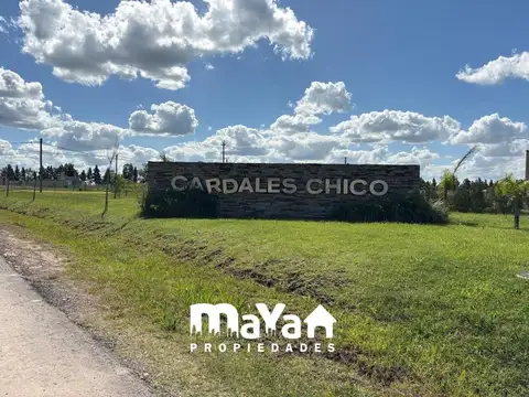 Terreno en Venta en Alto Los Cardales, Campana