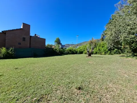 Madreselva 100