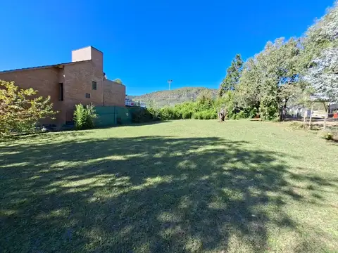 Madreselva 100