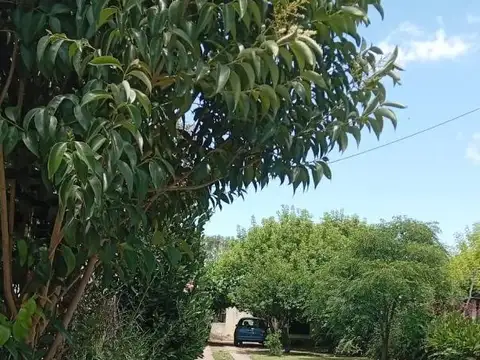 Mosconi